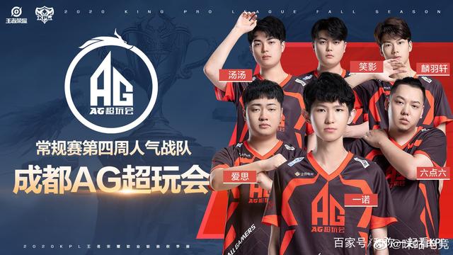 教练团队