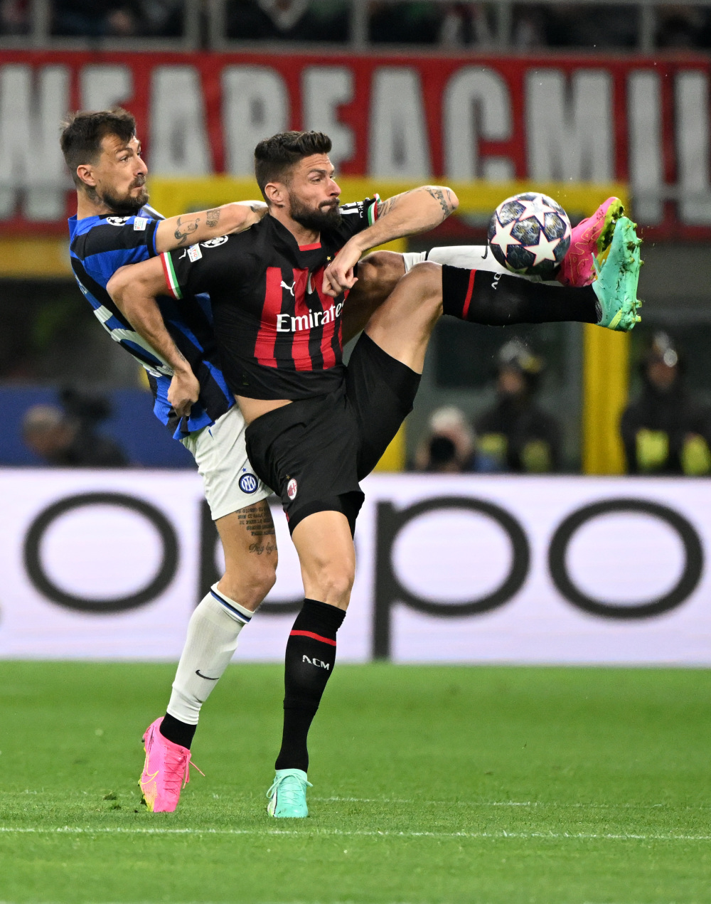 张之臻有望 张之臻有望