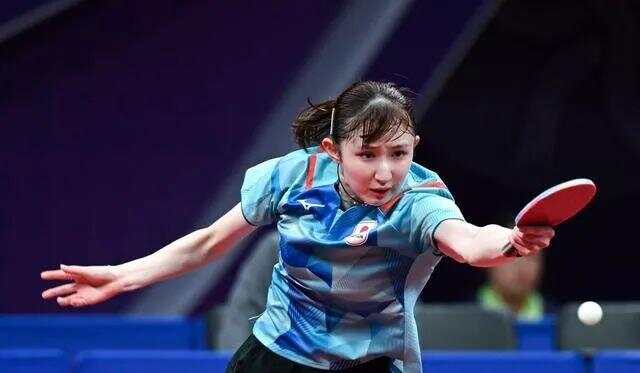 舍夫勒解释 舍夫勒解释