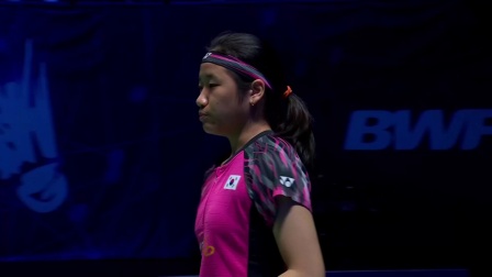 家队的核心 家队的核心